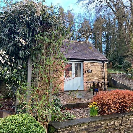 Maristow Cottages, Overlook Tamar Valley Dartmoor Plymouth Exteriör bild