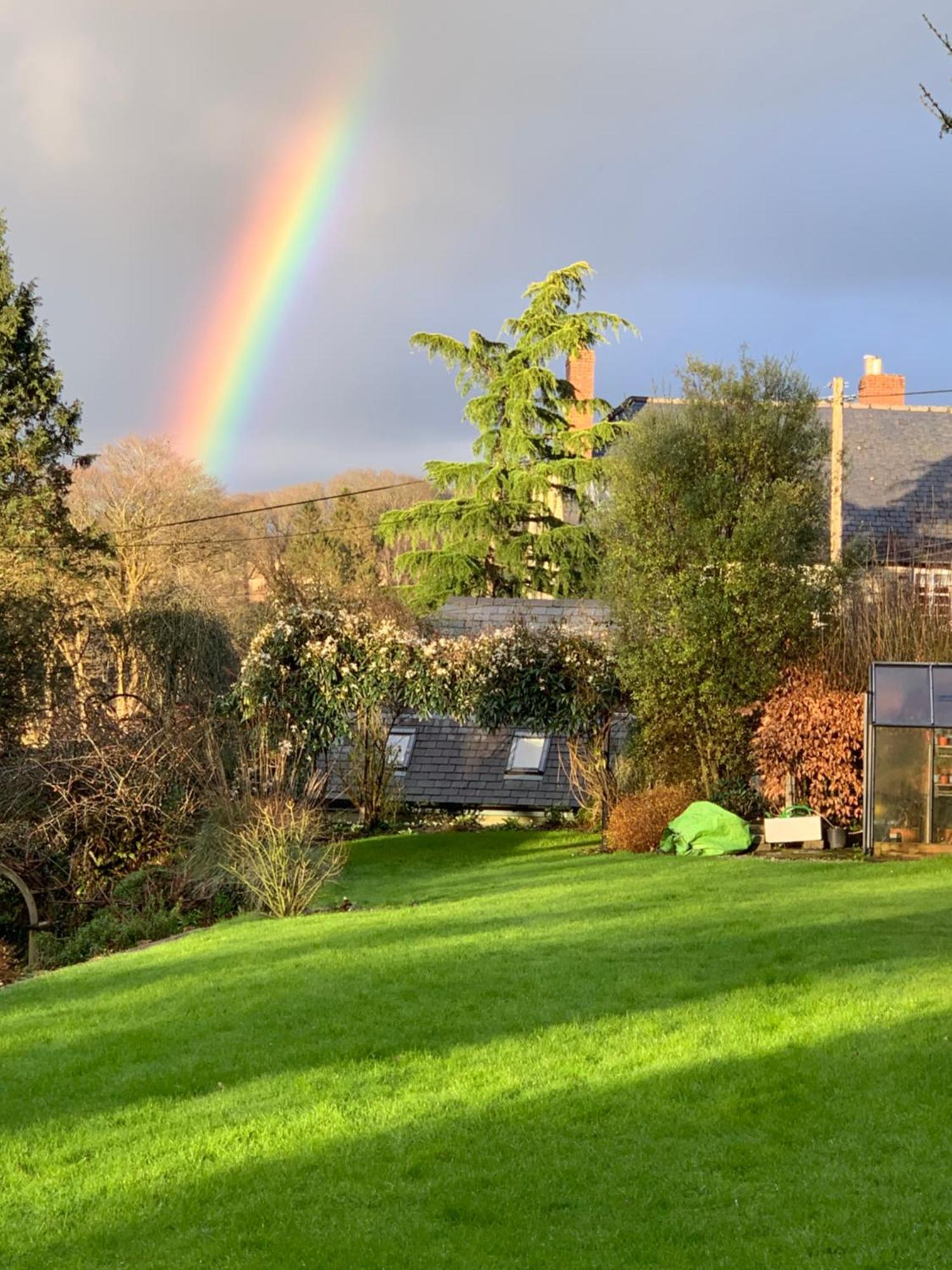 Maristow Cottages, Overlook Tamar Valley Dartmoor Plymouth Exteriör bild