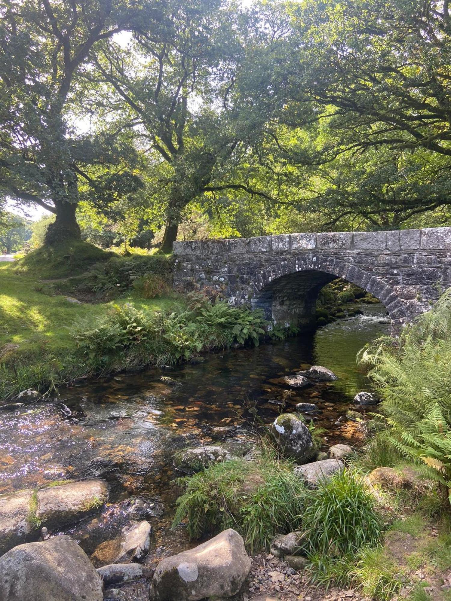 Maristow Cottages, Overlook Tamar Valley Dartmoor Plymouth Exteriör bild