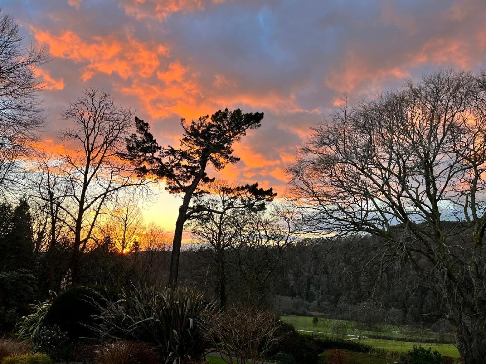 Maristow Cottages, Overlook Tamar Valley Dartmoor Plymouth Exteriör bild